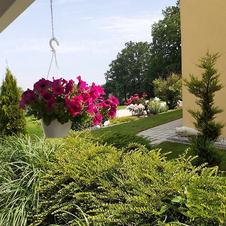 Villa Casa Sol-Rural Residence Near Linz Katsdorf Kültér fotó